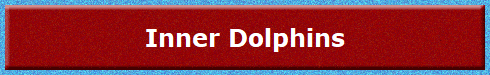 Inner Dolphins