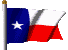 Texas Flag waving